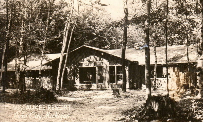 Missaukee Resort - Vintage Postcard